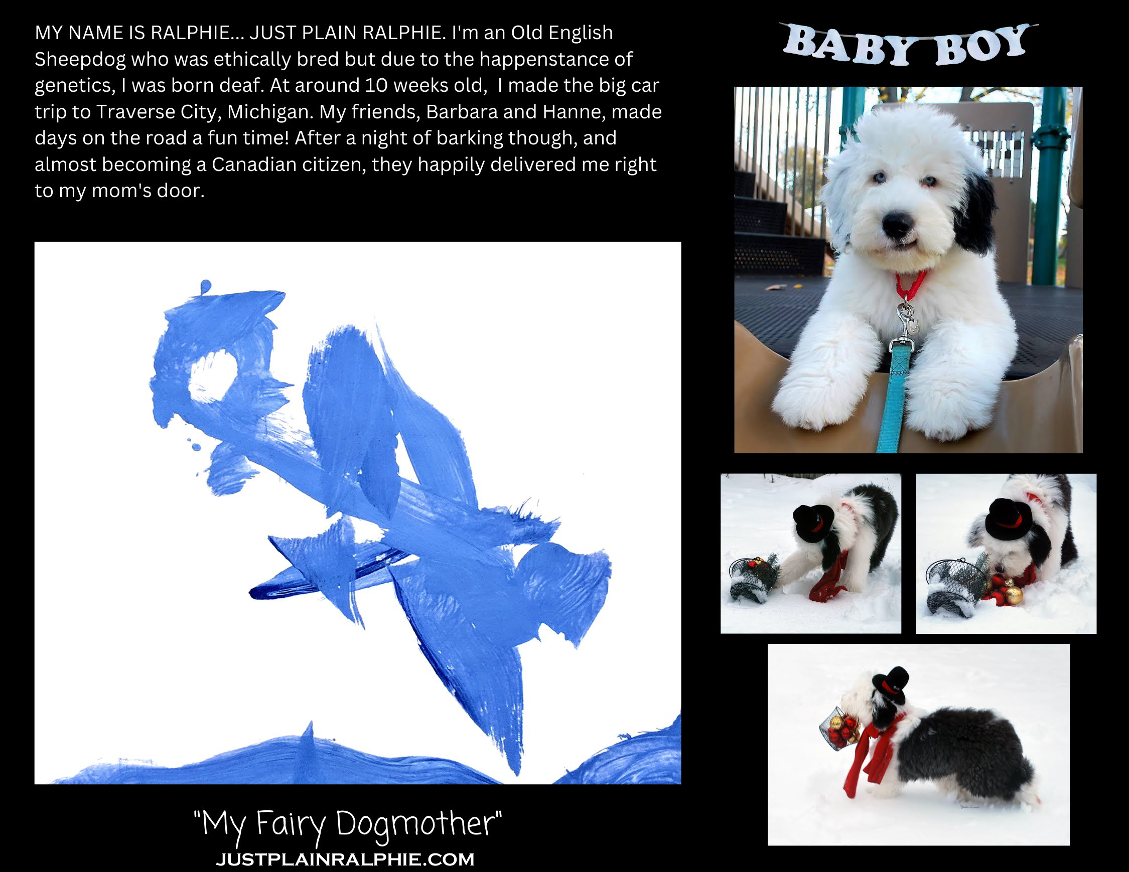 Training and communicating with deaf puppies and deaf dogs.